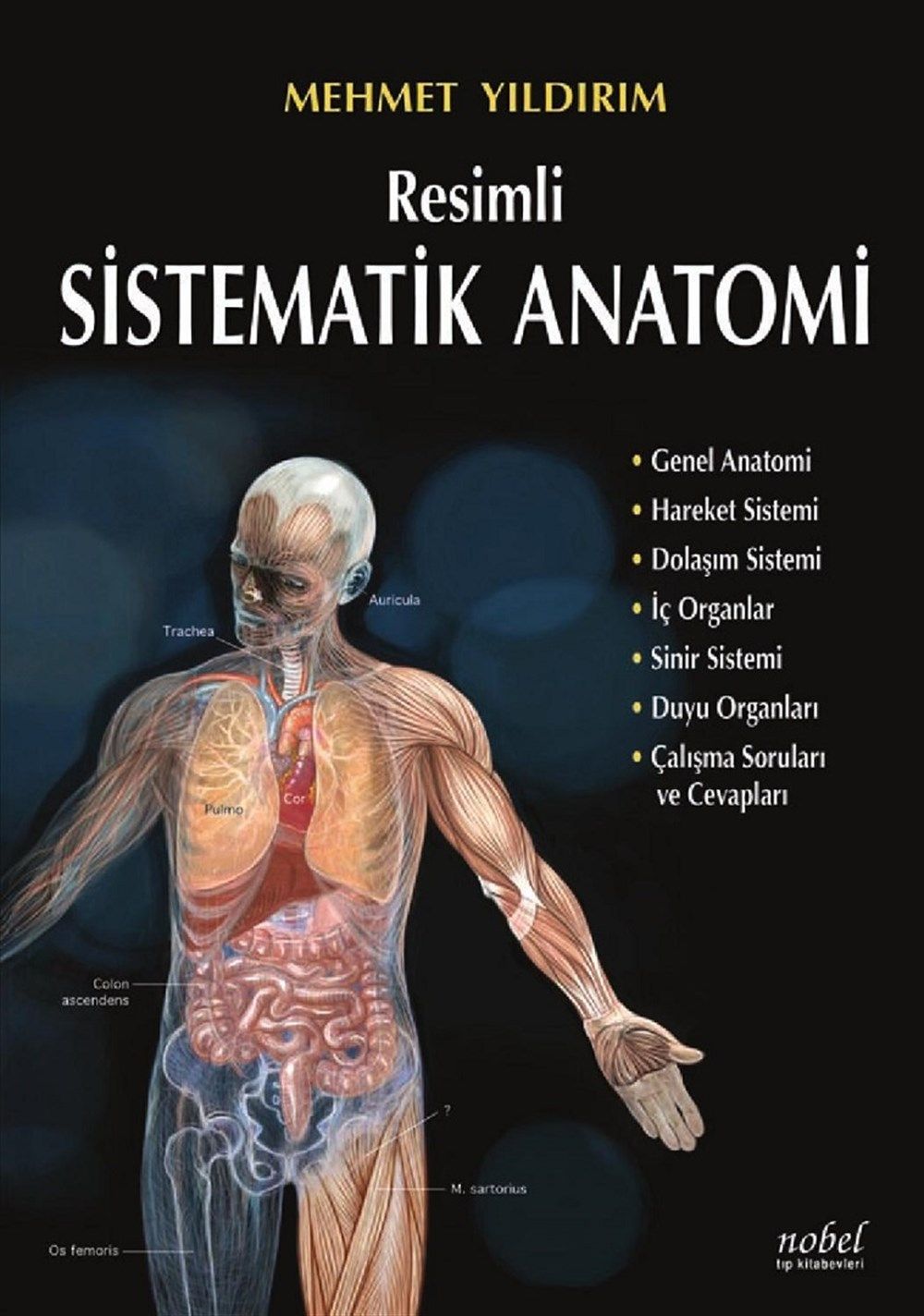 Resimli Sistematik Anatomi Marmara Nobel Tıp