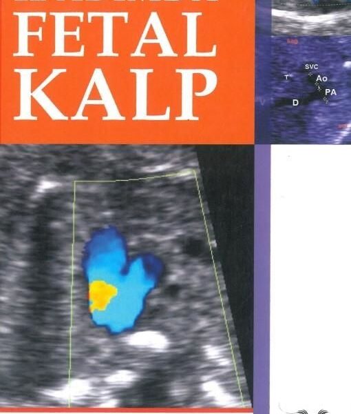 12 Adımda Fetal Kalp Muayenesi