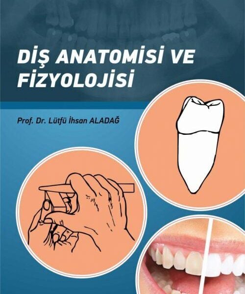 Diş Anatomisi ve Fizyolojisi