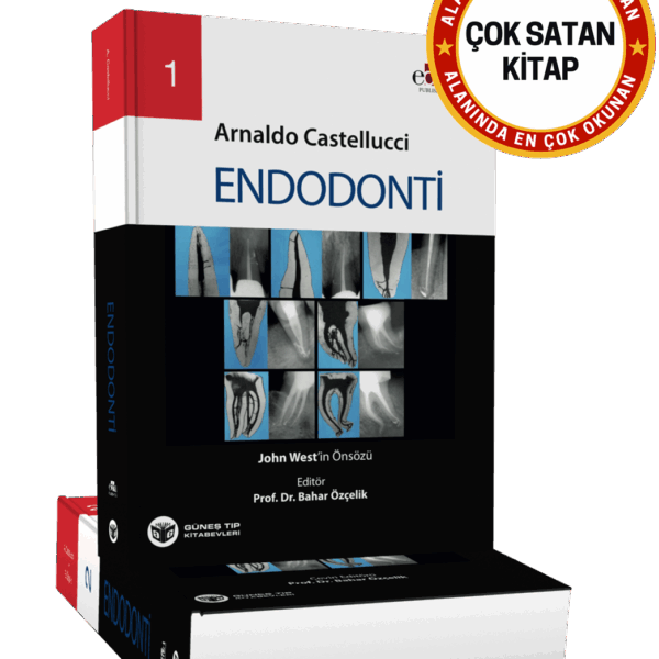 Endodonti 2 Cilt