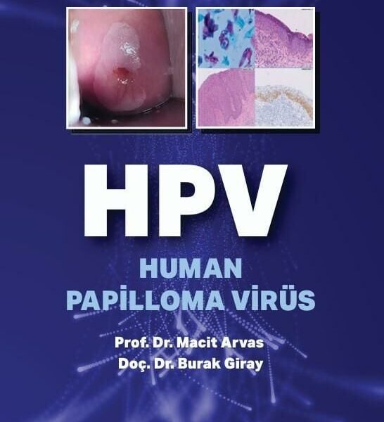 HPV Human Papilloma Virus