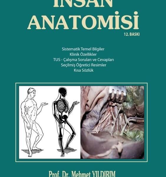 İnsan Anatomisi / Yıldırım ( 12. Baskı )