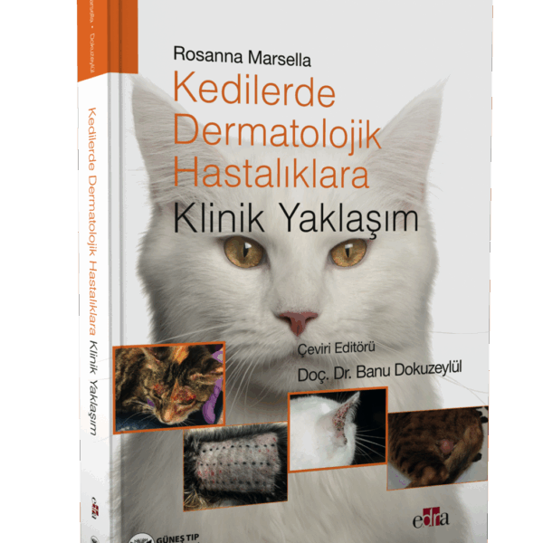 Kedilerde Dermatolojik Hastalıklara Klinik Yaklaşım