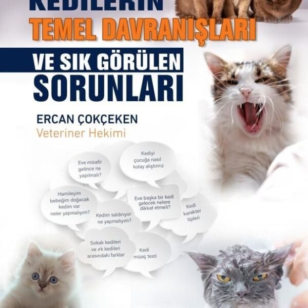 Kedilerin Temel Davranışları ve Sık Görülen Sorunlar