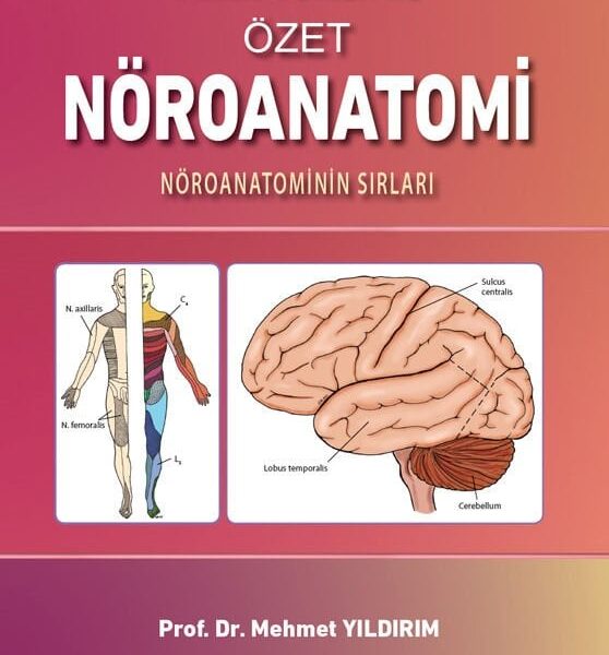 Klinik Yönleri ile Özet Nöroanatomi: Nöroanatominin Sırları