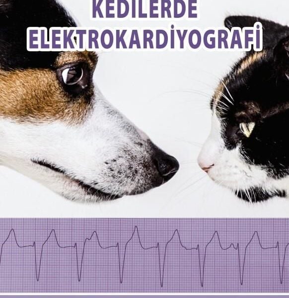 Köpek ve Kedilerde Elektrokardiyografi