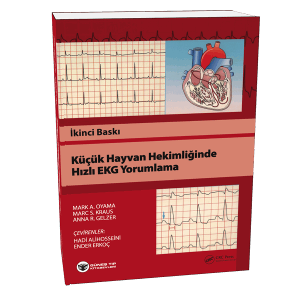 Küçük Hayvan Hekimliğinde Hızlı EKG Yorumlama