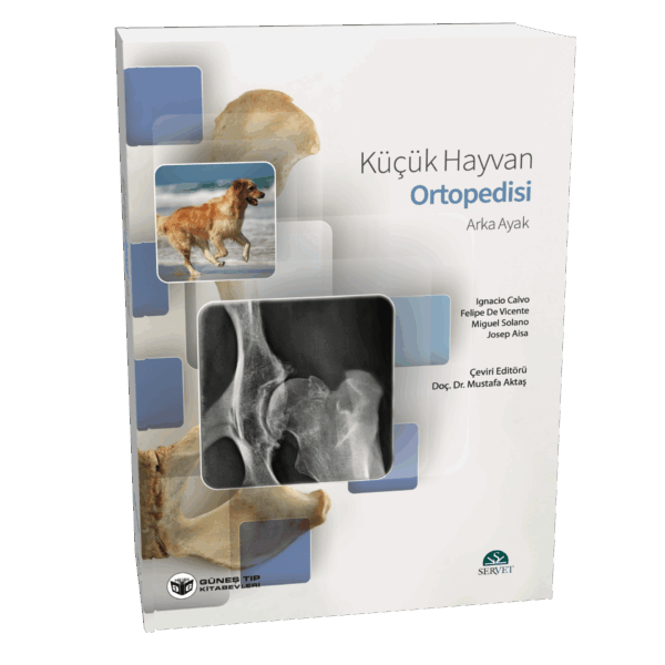 Küçük Hayvan Ortopedisi Arka Ayak