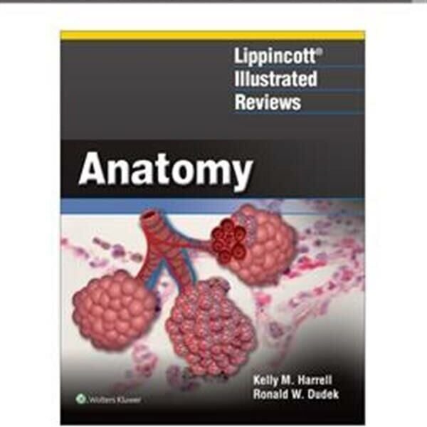 Lippincott® Illustrated Reviews: Anatomy, First, I