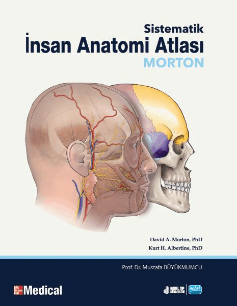 Morton - Sistematik İnsan Anatomisi Atlası