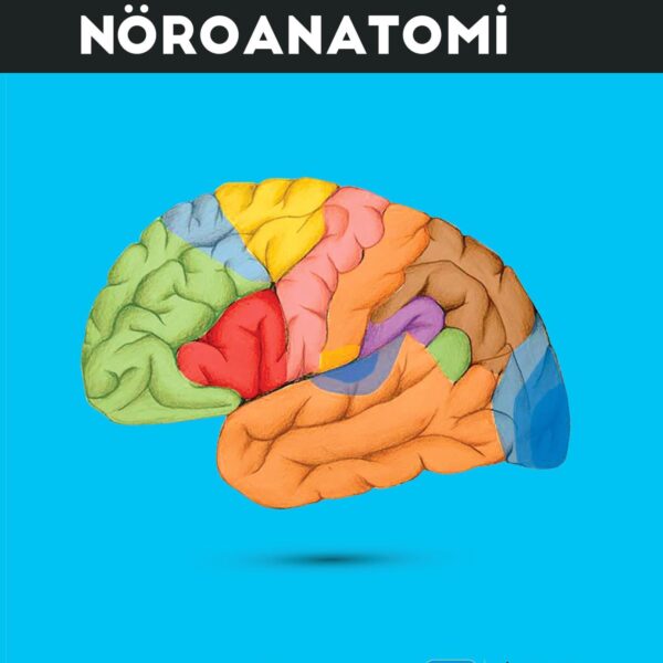 Nöroanatomi