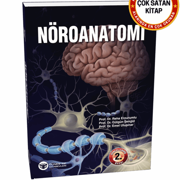 Nöroanatomi (Güncellenmiş 2. Baskı)