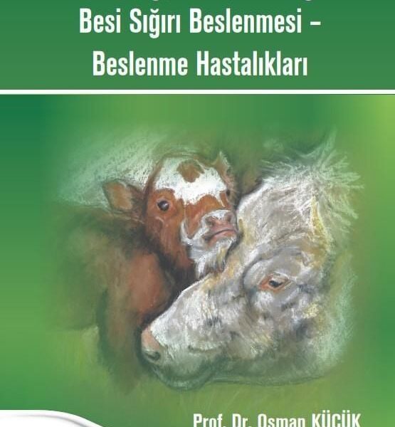 Pratik Buzağı, Düve, Süt Sığırı ve Besi Sığırı Beslenmesi – Beslenme Hastalıkları