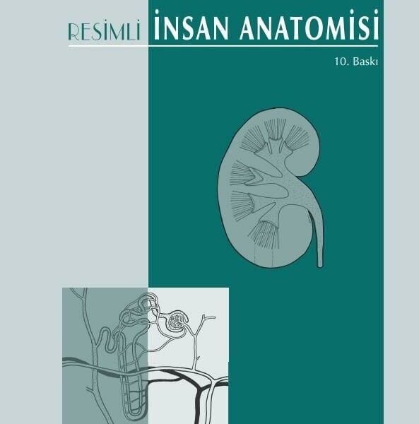 Sağlık Yüksek Okulları için Resimli İnsan Anatomisi 11. Baskı