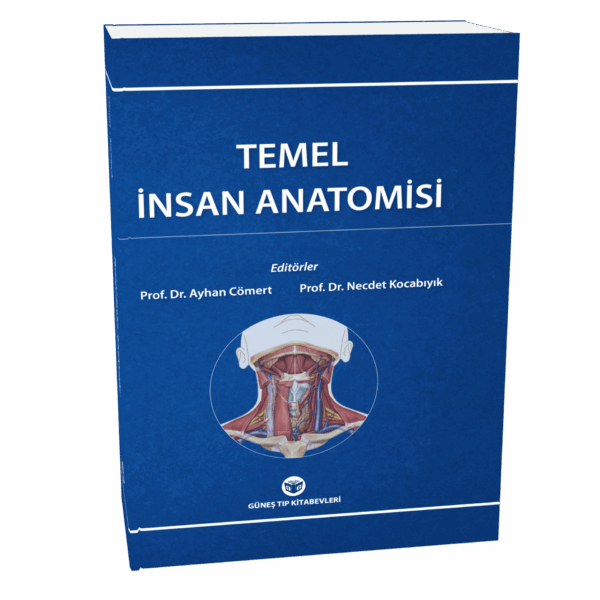 Temel İnsan Anatomisi