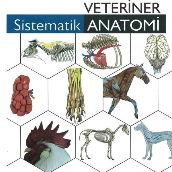 Veteriner sistematik Anatomi 2.Baskı