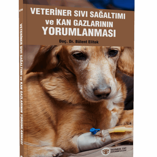 Veteriner Sıvı Sağaltımı ve Kan Gazlarının Yorumlanması