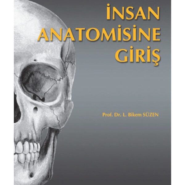 İnsan Anatomisine Giriş
