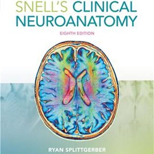 Snell's Clinical Neuroanatomy Eighth Edition