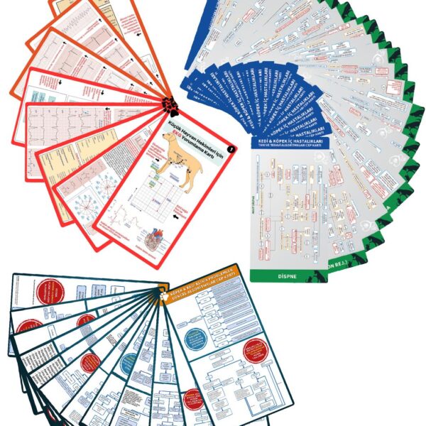 2024 - Veteriner Hekimlik Asistan Kartı (3 ÇOK SATAN TEK SETTE)