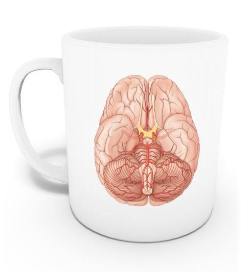 Beyin Kupası (İsme Özel)