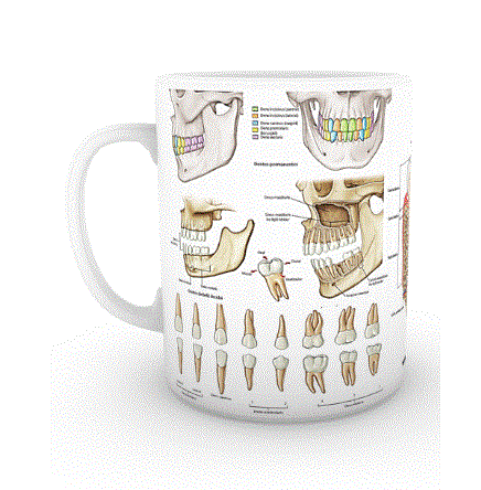 Diş Hekimliği Kupası (İsme Özel)