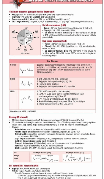 Ekg Hızlı Yorumlama Kılavuzu Cep Kartı (TEKLİ EKG)