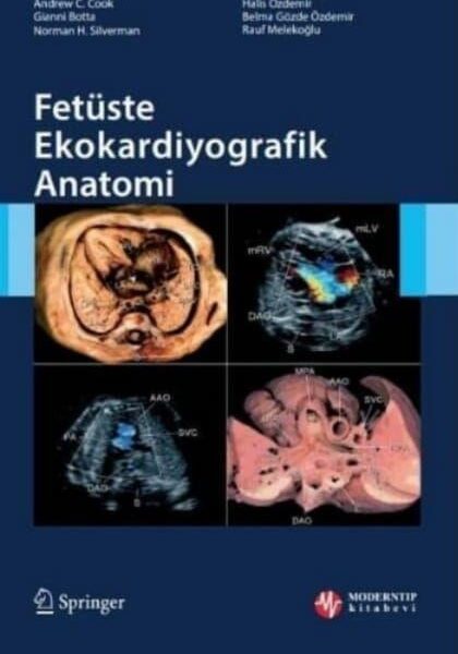 Fetüste Ekokardiyografik Anatomi