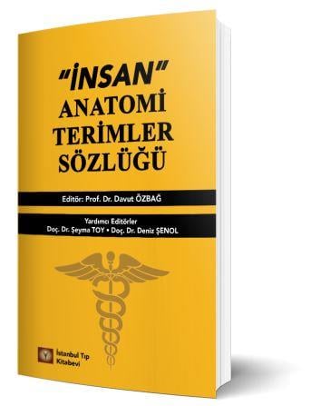 İnsan Anatomi Terimler Sözlüğü