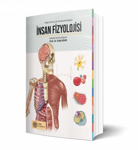 İNSAN FİZYOLOJİSİ