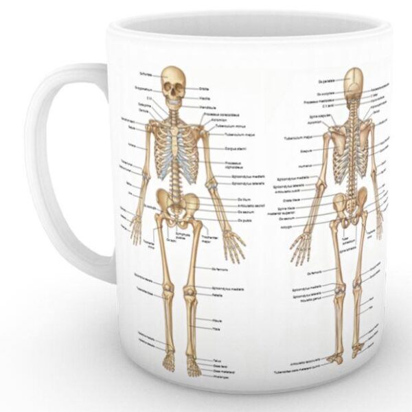 İskelet Kupa (İsme Özel)