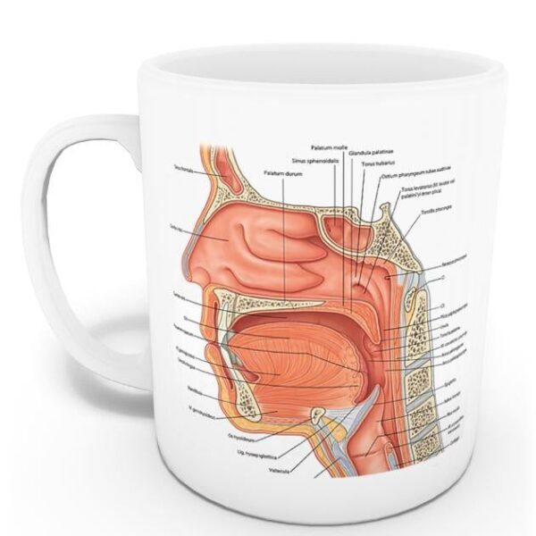 KBB Kupası (İsme Özel)