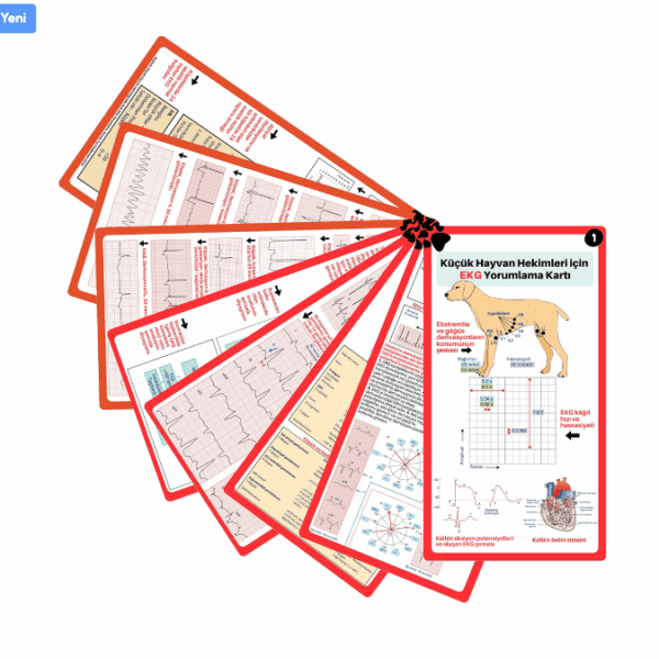 Kedi & Köpek EKG Yorumlama Cep Kartı (ÇOK SATAN)