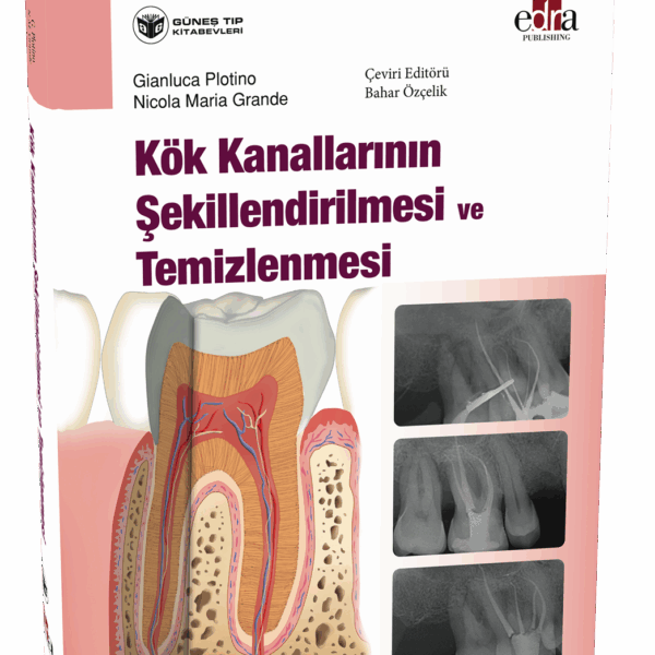 Kök Kanallarının Şekillendirilmesi ve Temizlenmesi