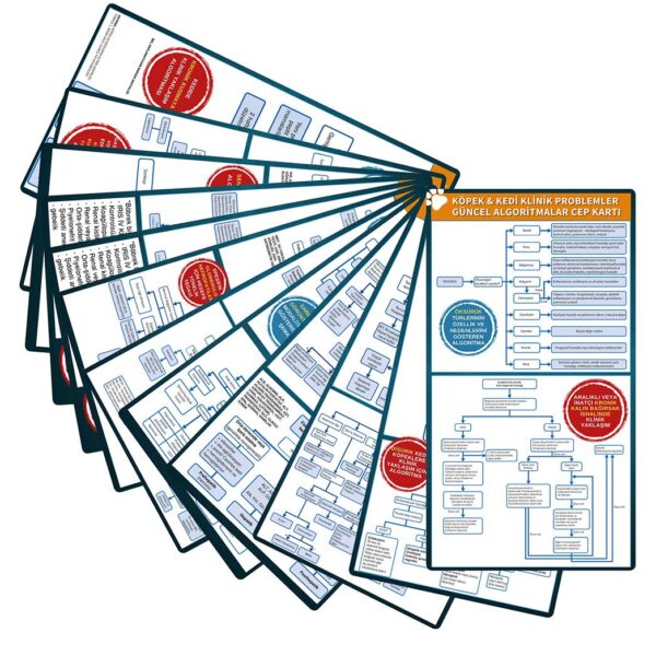 Köpek & Kedi Klinik Problemler Güncel Algoritmalar Cep Kartı