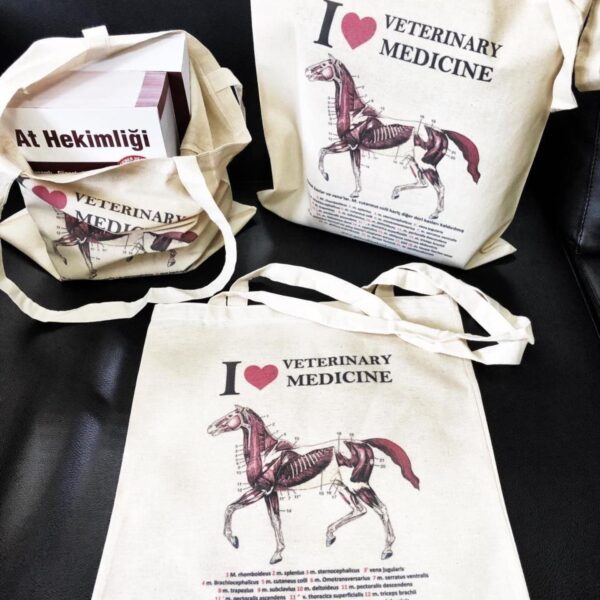 Love Veterinary At İskelet Bez Çanta