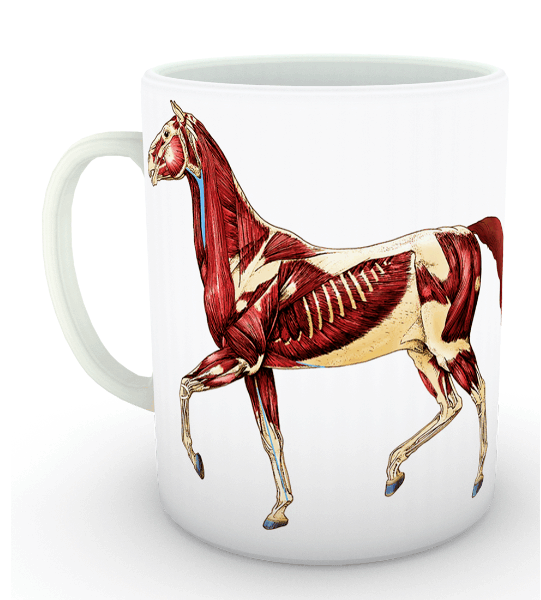 Love Veterinary At İskelet Kupa (İsme Özel)