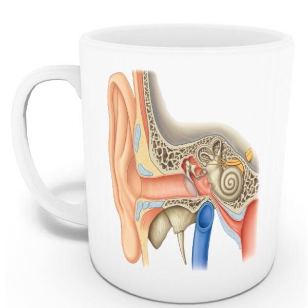 Odyoloji Kupası (İsme Özel)