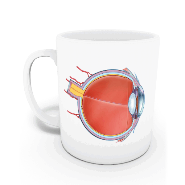 Optisyen Kupası (İsme Özel)