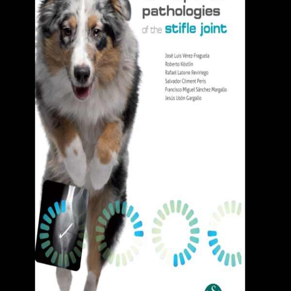 Orthopaedic pathologies of the stifle joint