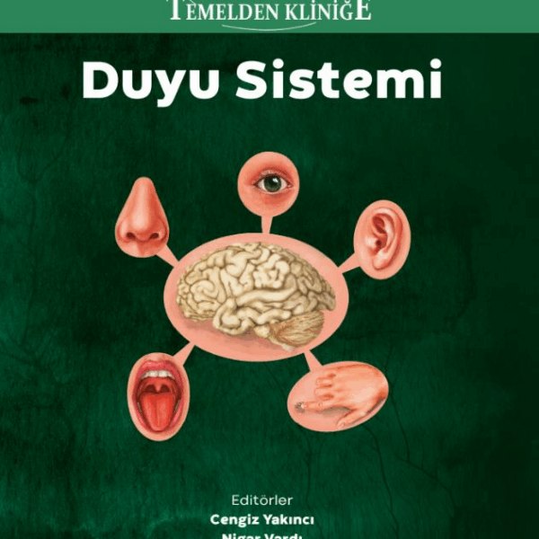Temelden Kliniğe Duyu Sistemi
