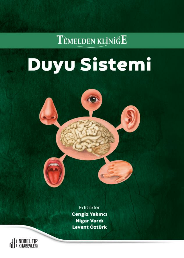 temelden-klinige-duyu-sistemi-11947.png