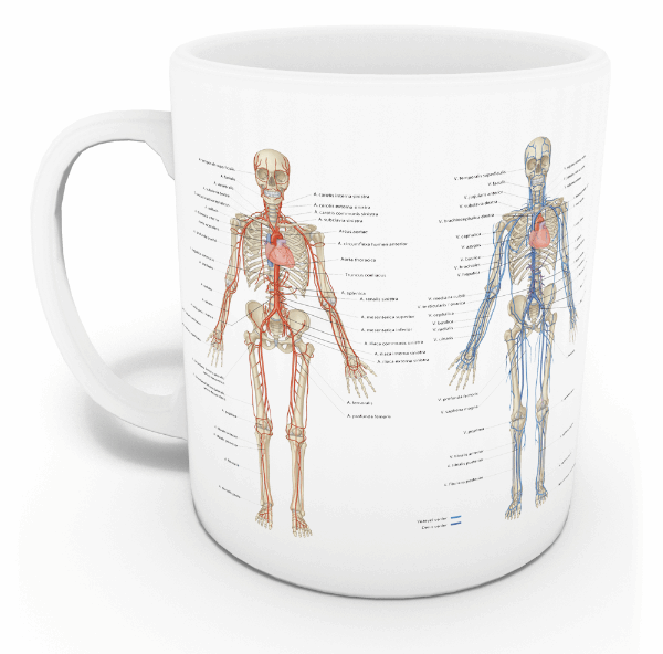 Vasküler Sistem Kupası (İsme Özel)