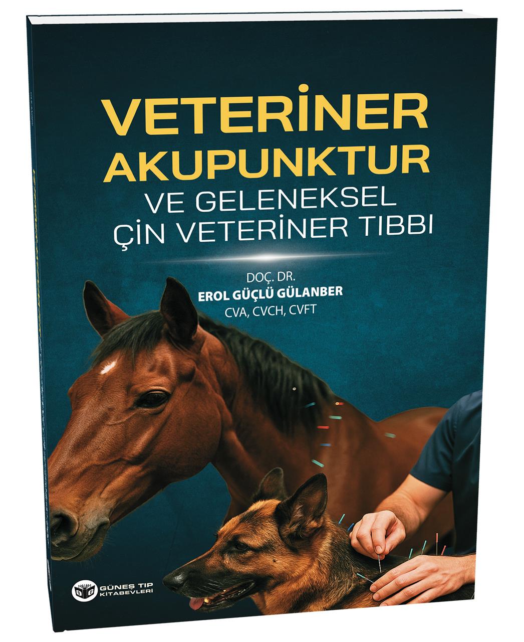 veteriner-akupunktur-ve-geleneksel-cin-a0fb07.jpg