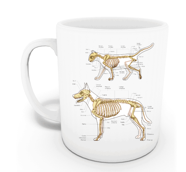 Veteriner Kupası (İsme Özel)