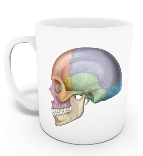 Yan Kafatası Kupası (İsme Özel)